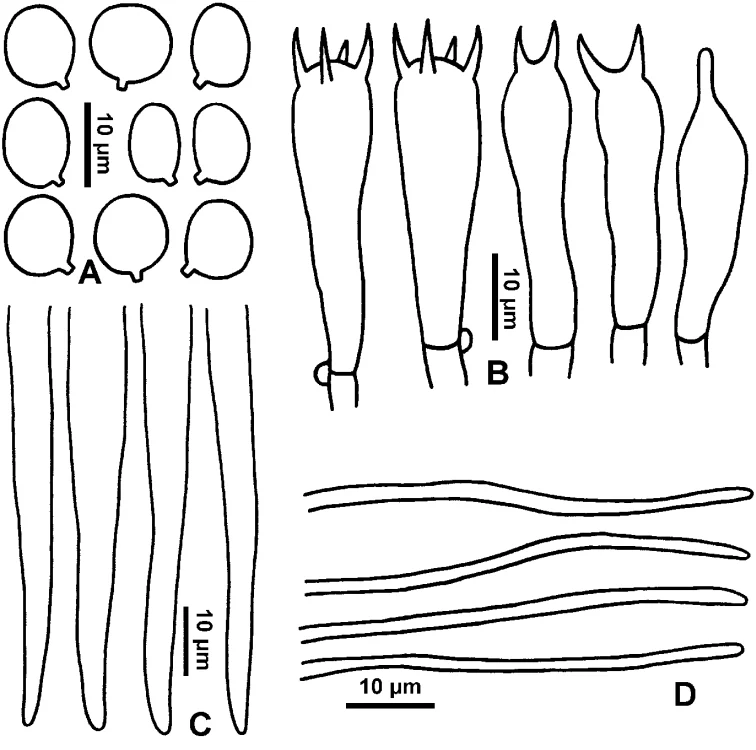 Pelat ilmiah Hygrocybe griseonigricans menurut sumber