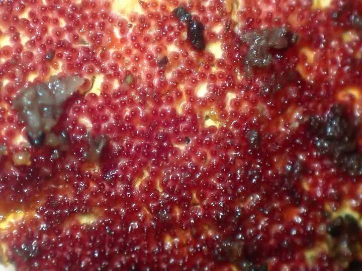Foto yang diasosiasikan dengan Hypomyces rosellus pada iNaturalist